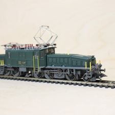 Profile image of Monstera