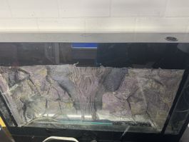 Aquarium mit Rückwand und Zubehör gebraucht schwarz