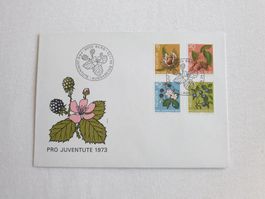 (20) Pro Juventute 1973 mit ET Stempel