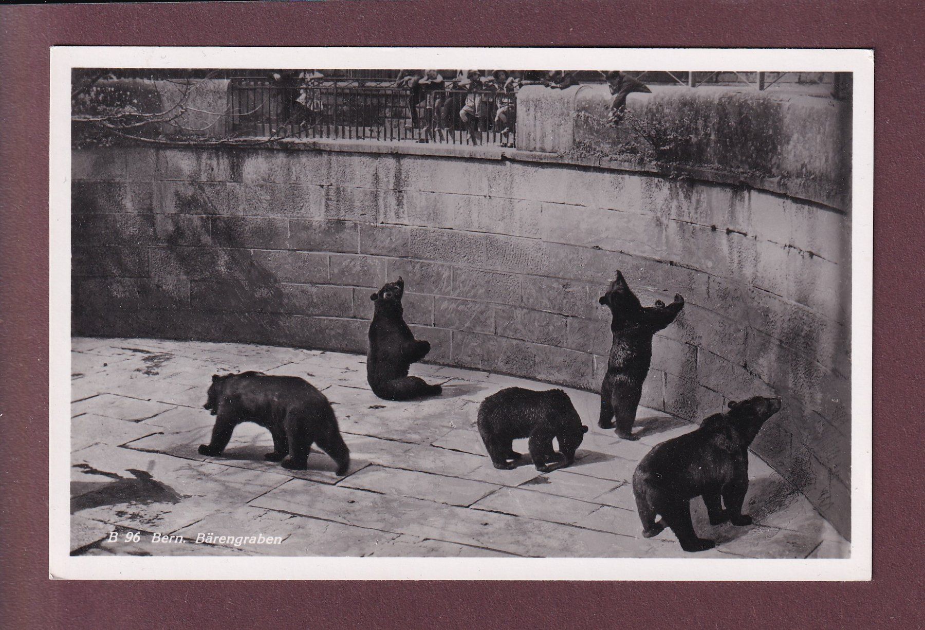 Cartoline postali: BERN - Bärengraben – Usato da Pully venduto da nicecards
