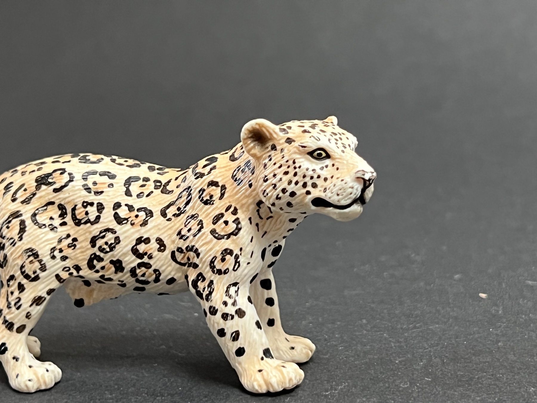 Schleich Statuette: Schleich 14312 Schneeleopard Leopard – Usato da Ennetbaden venduto da mapa05 1