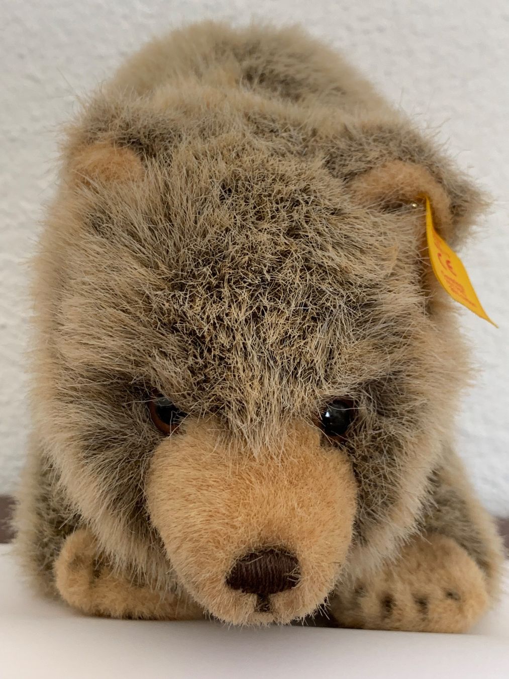 Steiff Jouets: Steiff, Braunbär – D'occasion à Baar par Daysi2