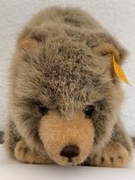 Steiff, Braunbär
