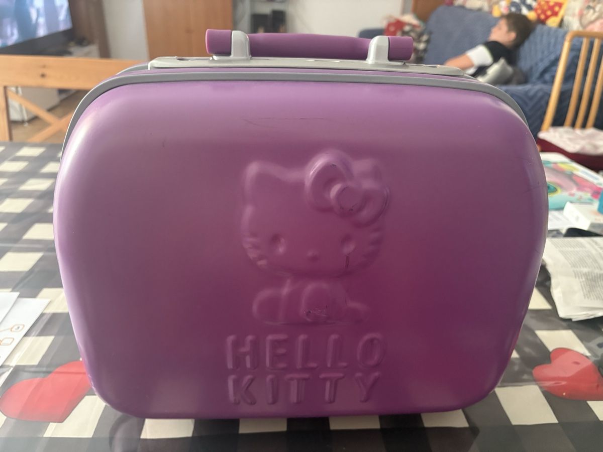 Hello Kitty Custodie per cosmetici: Beauty Case Hello Kitty – Usato da Novazzano venduto da jen_hx8j 3