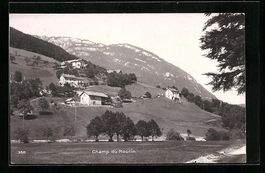 AK Champ-du-Moulin, Panorama