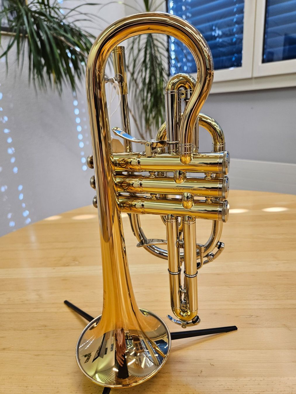 Strumenti musicali: Neuwertiges Bb Cornet WILLSON Celebration - Top Zustand! – Usato da Wangs venduto da adwil66lia 1