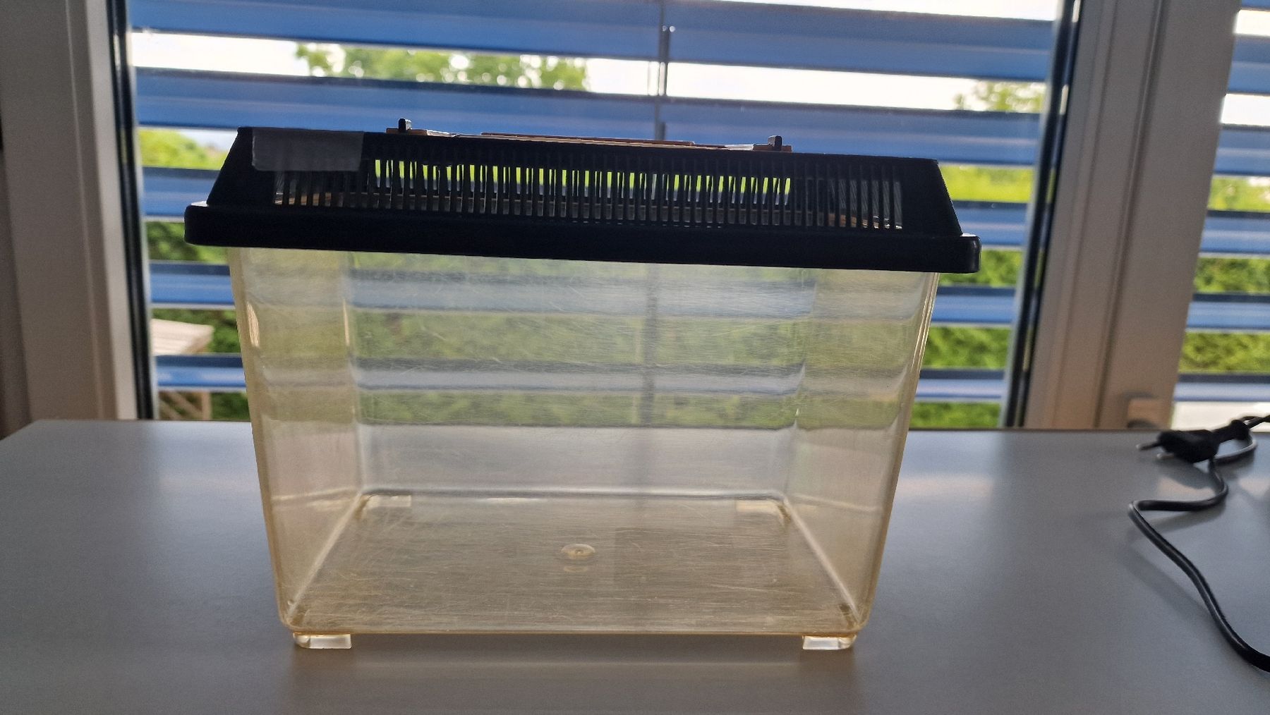 Terrario: Terrarium mit Zubehör – Usato da Siblingen venduto da Siblinger_2019 5