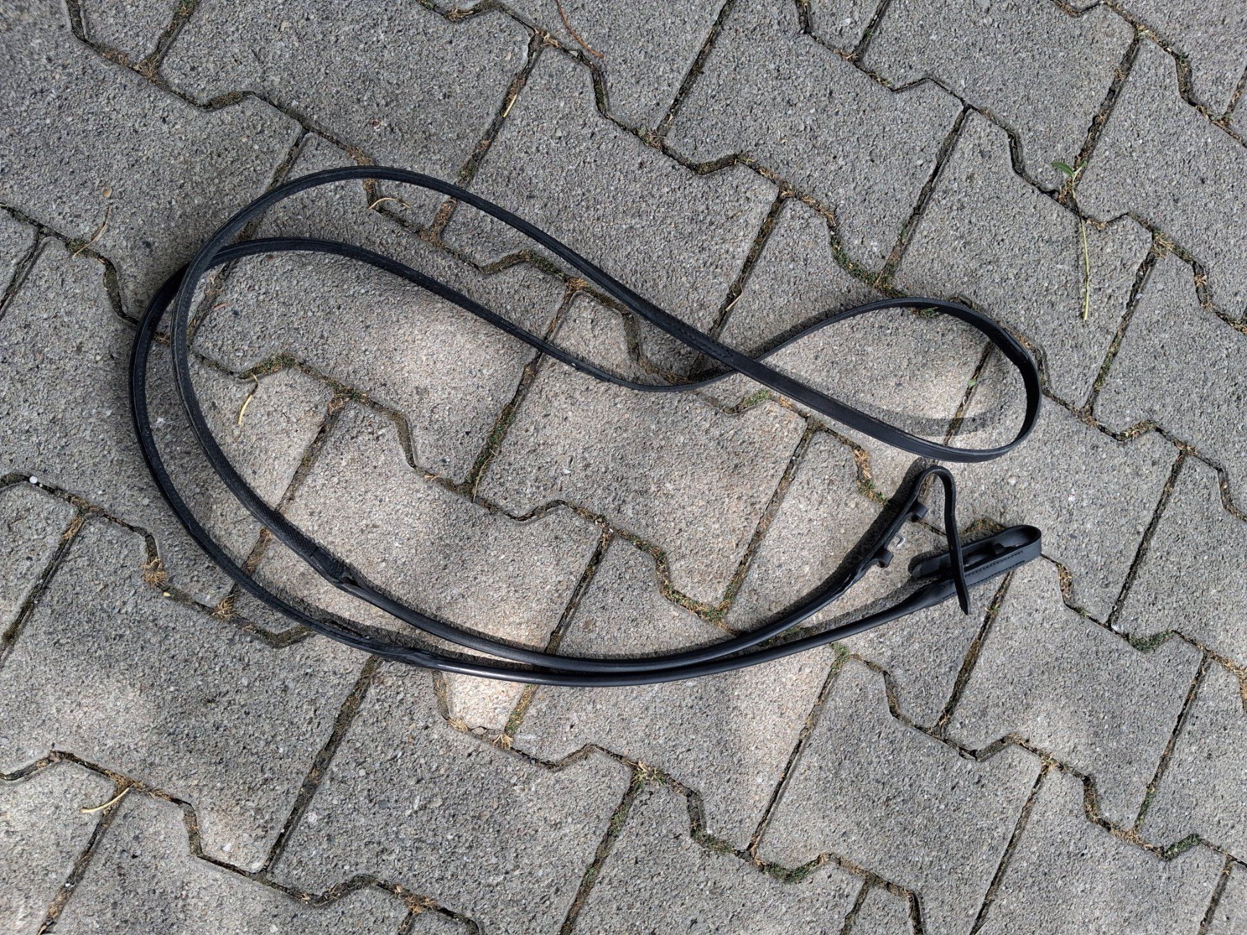 Zaumzeug & Halfter: Lederzügel – Gebraucht aus Mels von Sb83