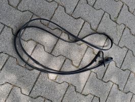 Lederzügel