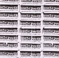 Sonic Youth - Screaming Fields of Sonic Love