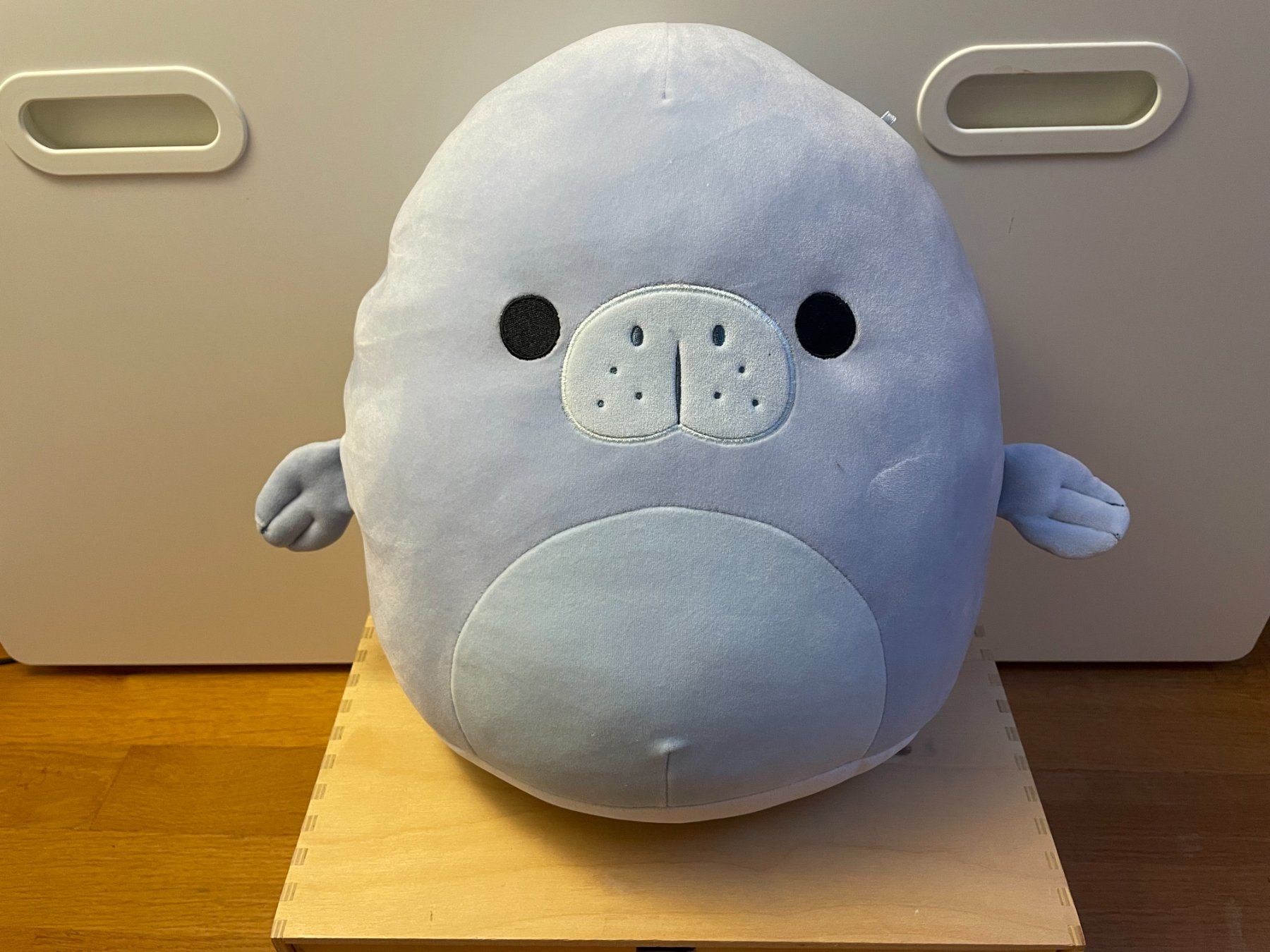 Squishmallows Giocattoli: Squishmallows Mauve blaue Robbe | 30 cm – Usato da Aarau venduto da Chicca2006