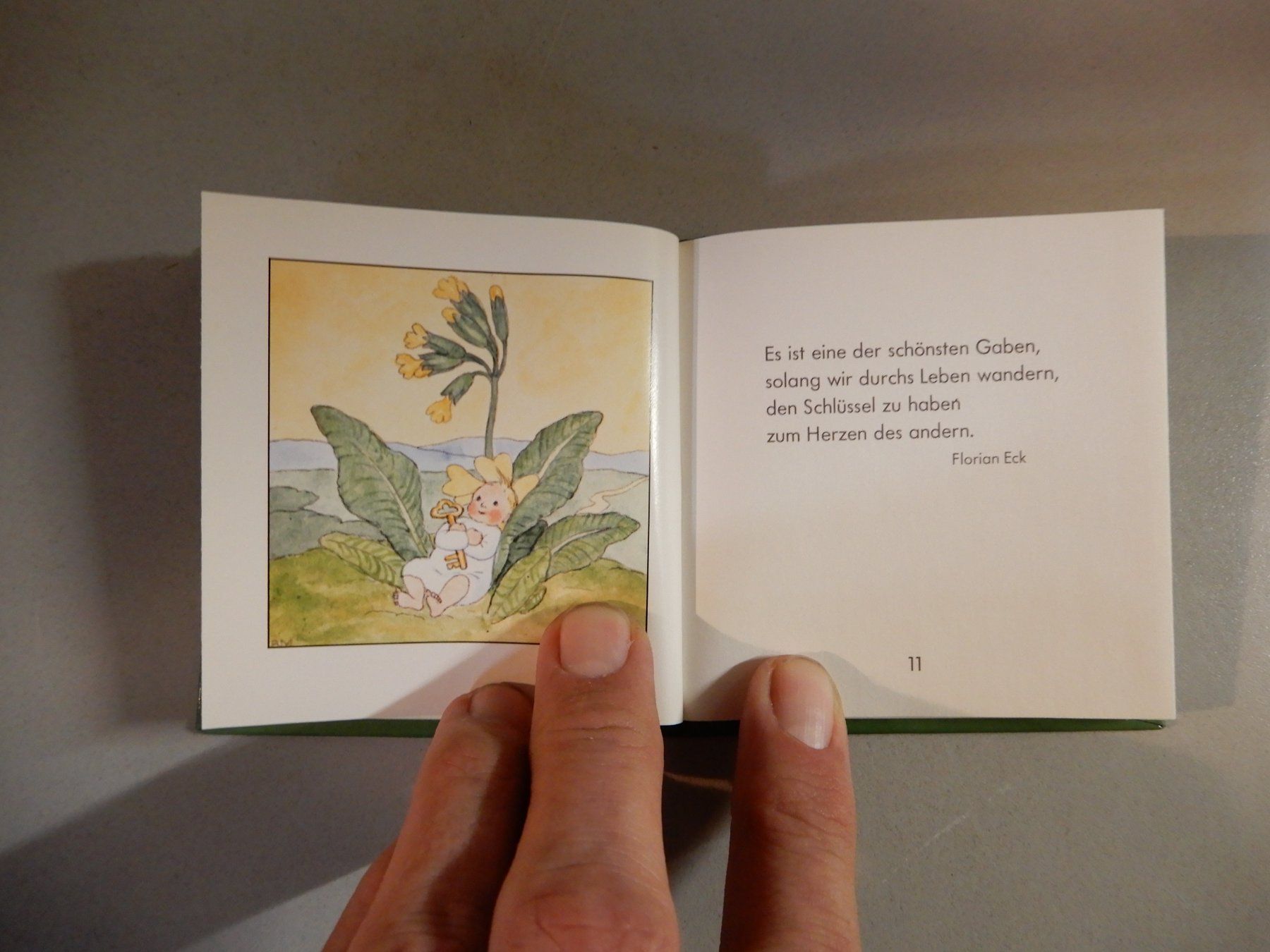 Libri: Blumenkinder - Die kleine Freude - ars edition Buch – Usato da Erstfeld venduto da Mario_boe0 6