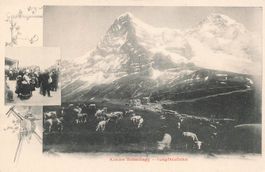 Kleine Scheidegg Jungfrau bahn