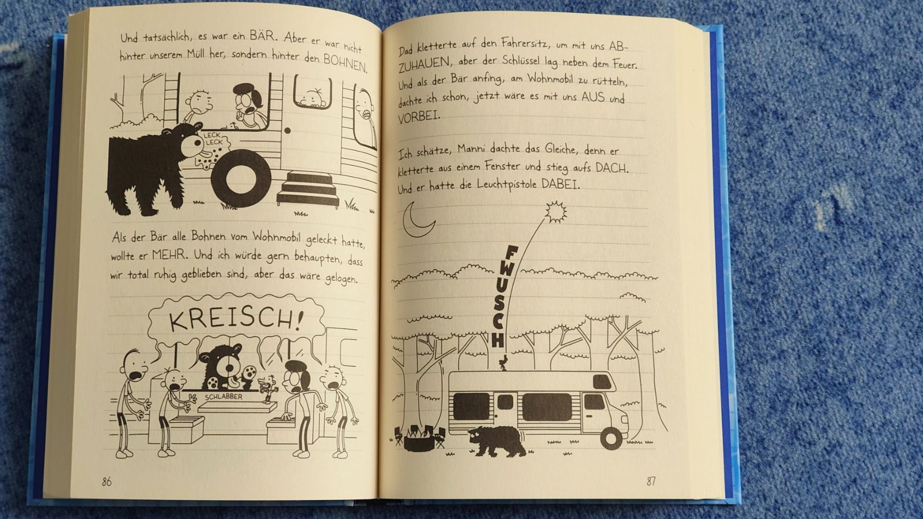 Libri: Gergs Tagebuch 15 – Usato da Belp venduto da ndu_8r6d 1