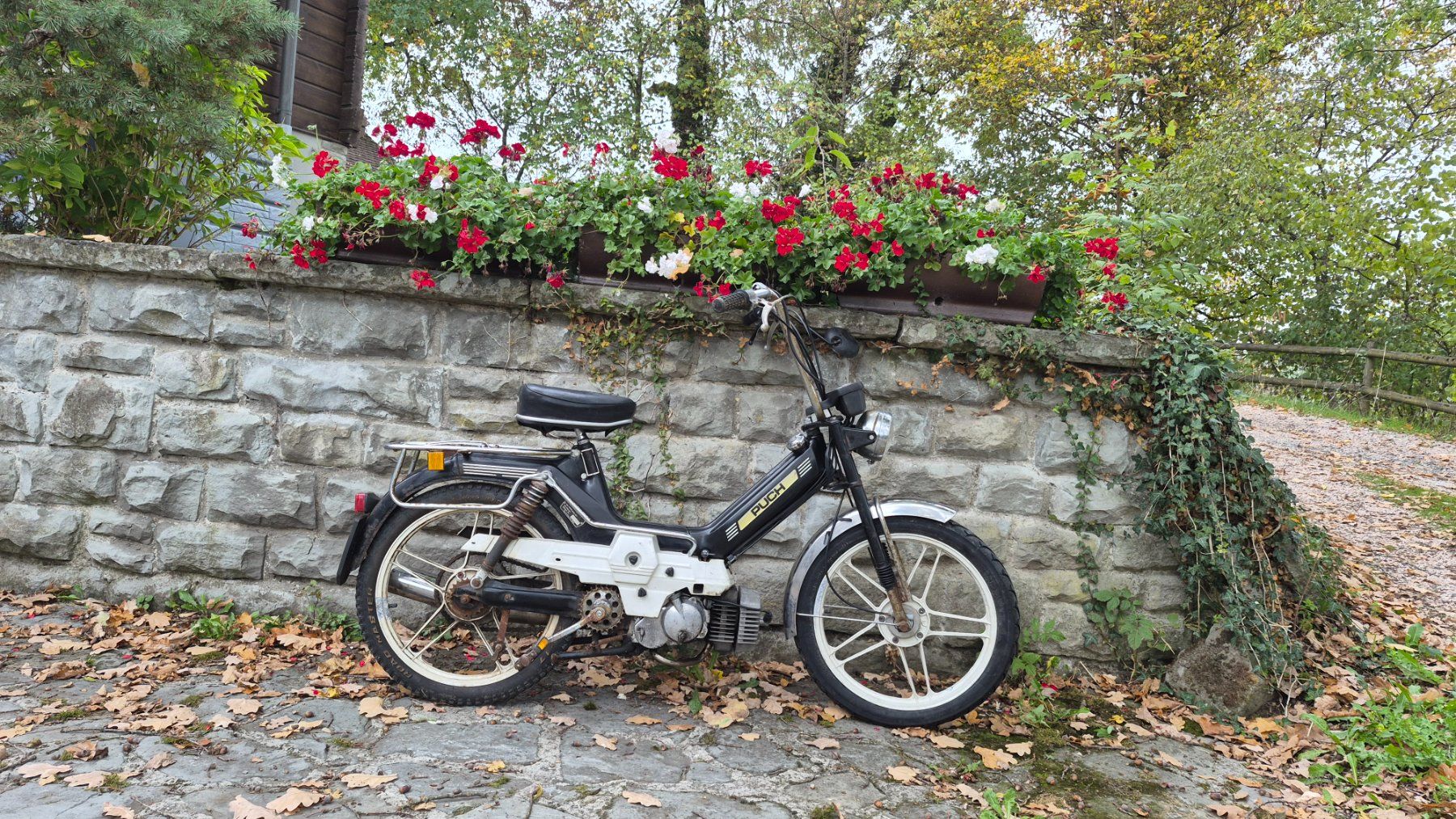 Puch Ciclomotori: Puch Supermaxi LG1 – Difettoso da Buhwil venduto da Donron0 4