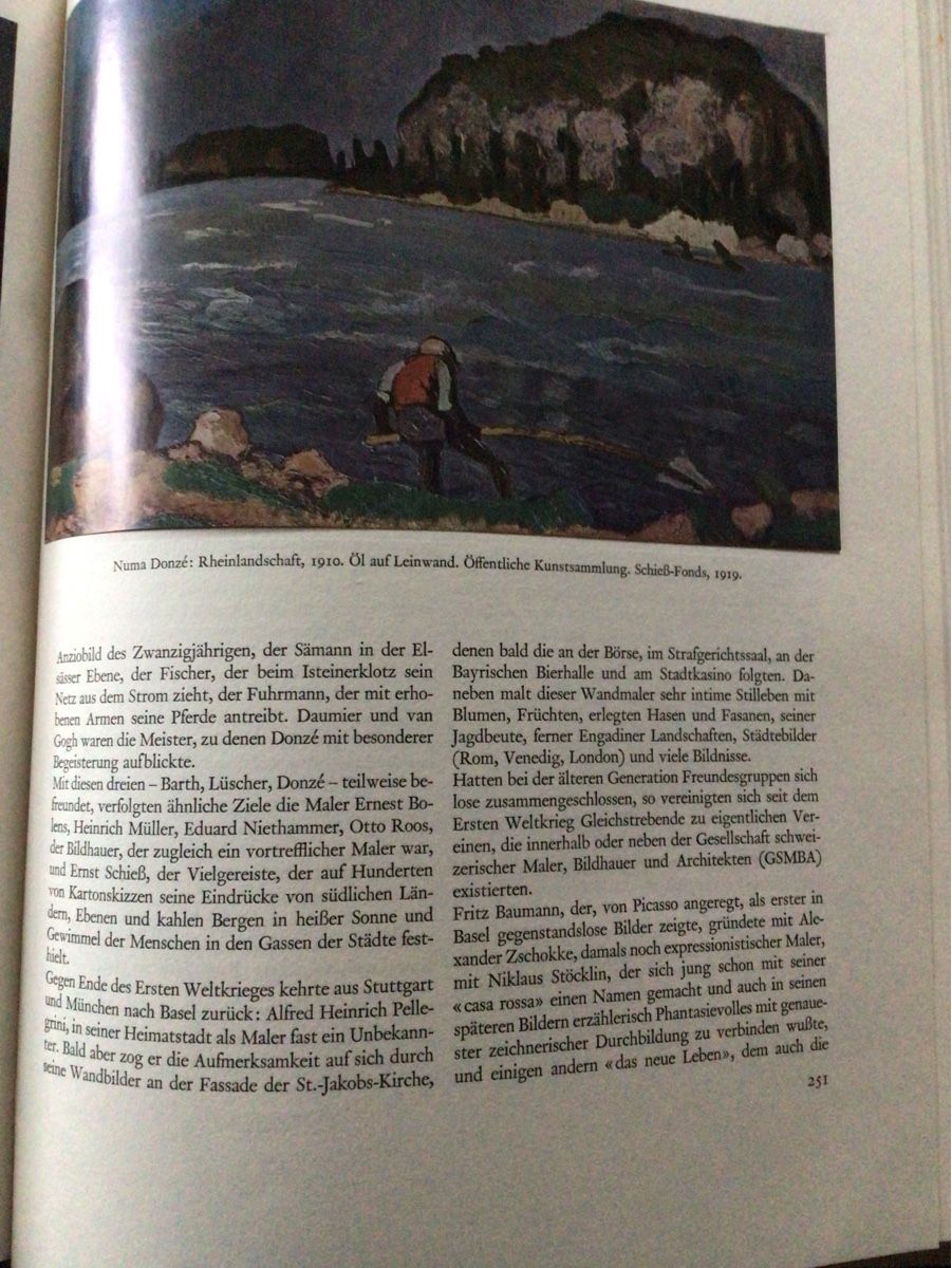 Libri: Buch Basel Denkschrift – Usato da Oftringen venduto da anbara 7