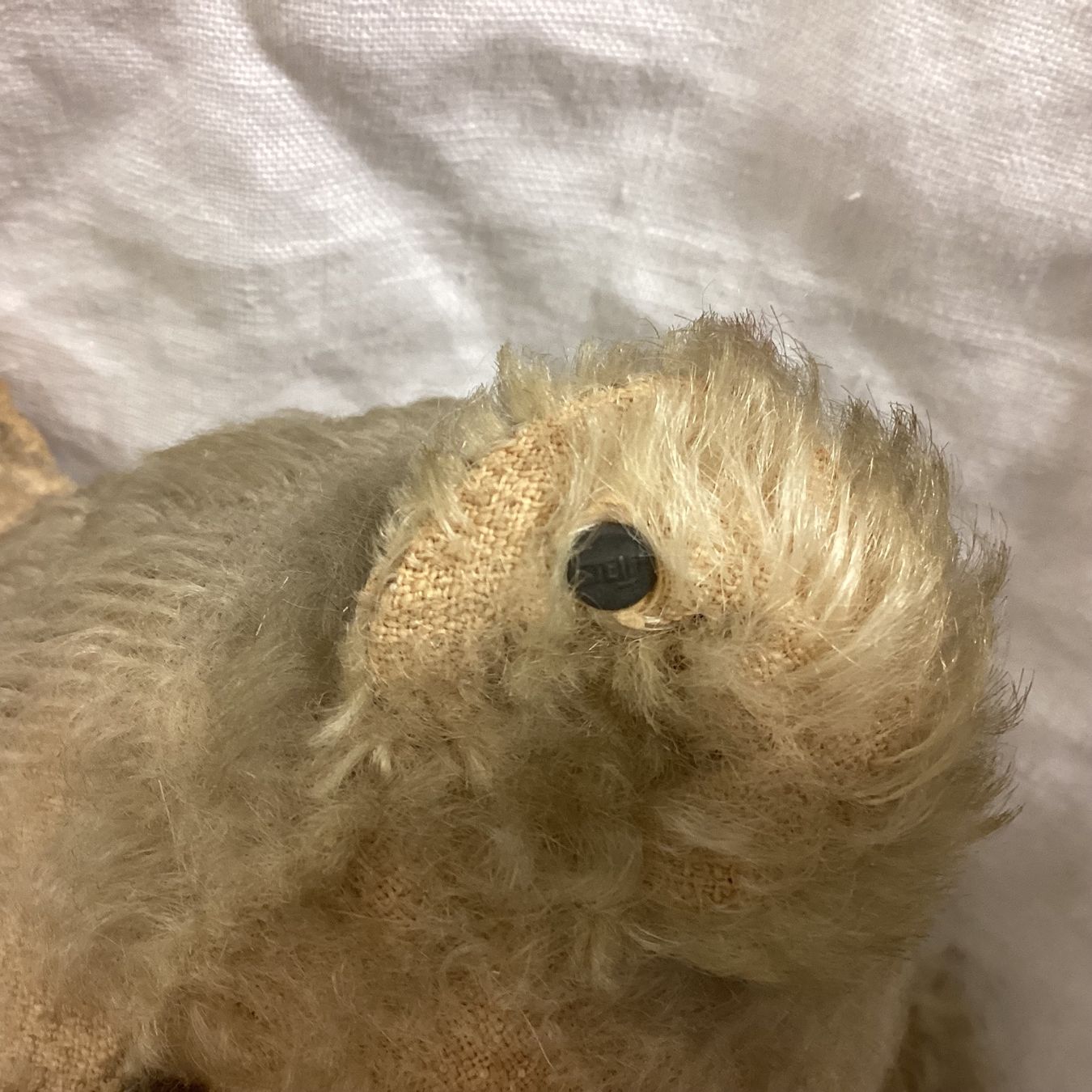 Steiff Spielzeuge: STEIFF TEDDY VON 1908/1912 SEHR SELTEN – Gebraucht aus Münchenstein von NoSu98 6