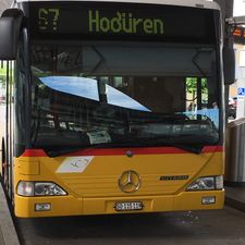Profile image of Thuri71