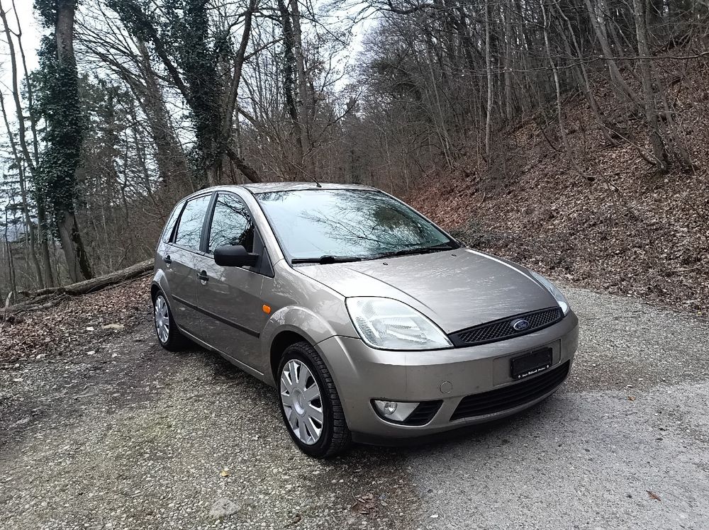 Ford Fiesta 1.4 Diesel ab MFK