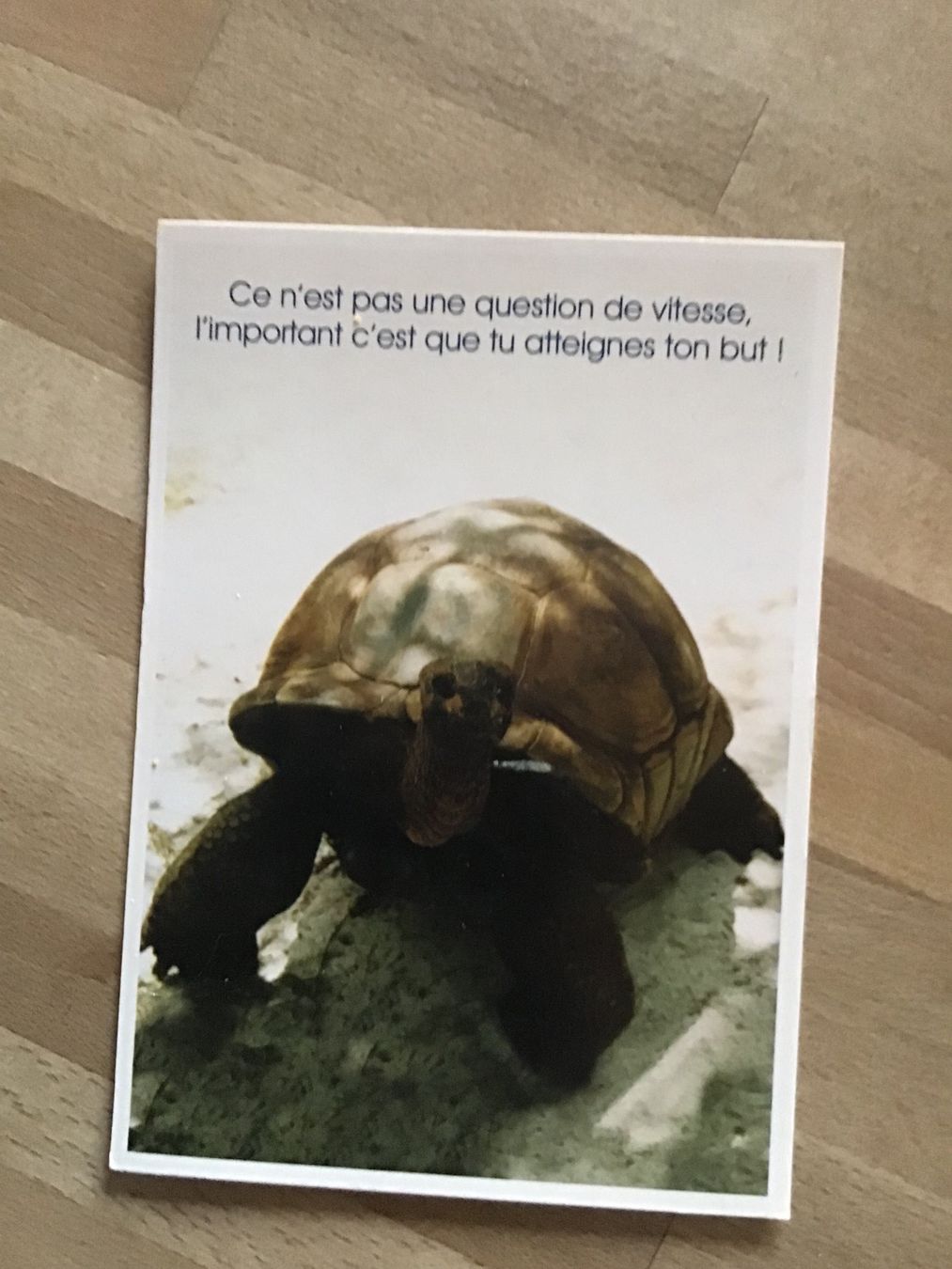 Cartoline postali: Carte postale – Nuovo (secondo la descrizione) da La Neuveville venduto da tricoly