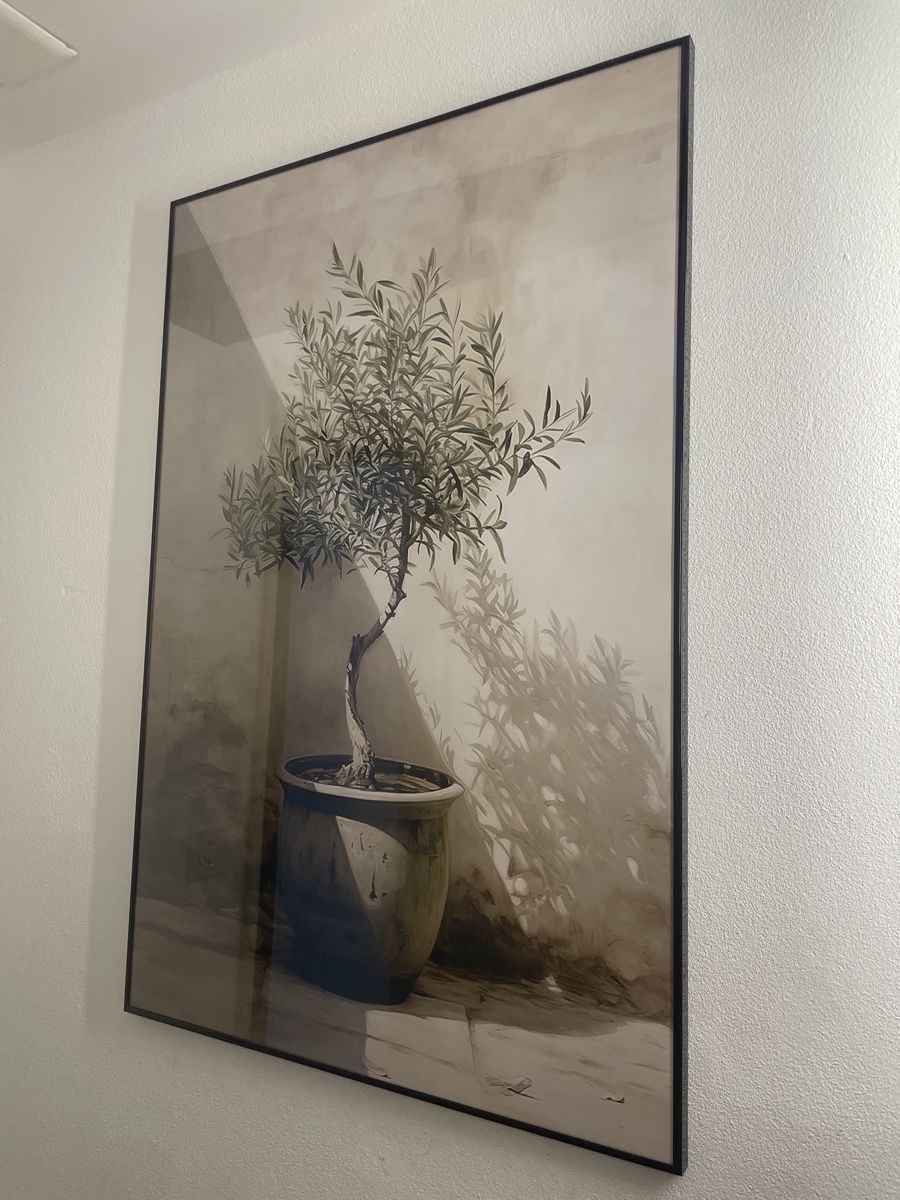 Foto & Immagini: Bild von Olivenbaum mit Rahmen von Juniqe – Usato da Winterthur venduto da lue_sqt9 2