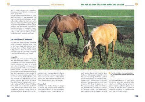 Libri: Ponys & Kleinpferde – Nuovo (secondo la descrizione) da Sarnen venduto da Livres 5