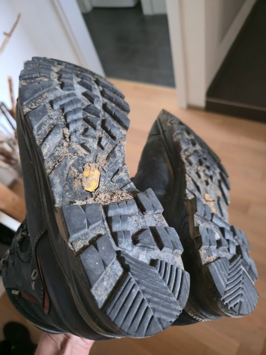 Lowa Chaussures femmes: Wanderschuhe für Gebirge – D'occasion à Mettlen par Janavana 2