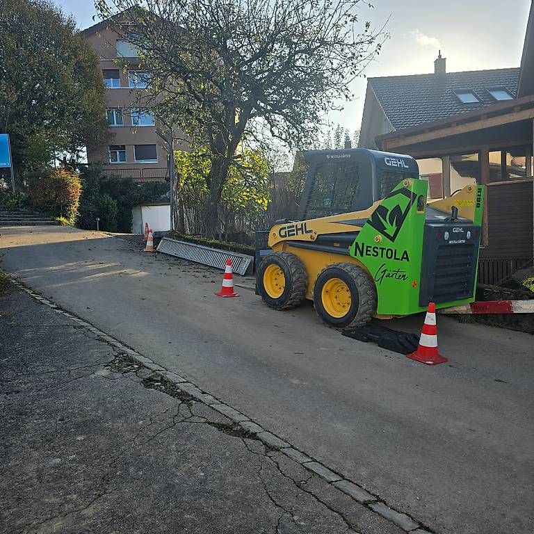 Gehl Alle Maschinen: GEHL Kompaktlader GEHL R190 – Gebraucht aus Münsingen von maximum89 2