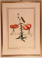 Gemälde von E. Böhm. Lilien. Signiert. Gerahmt!