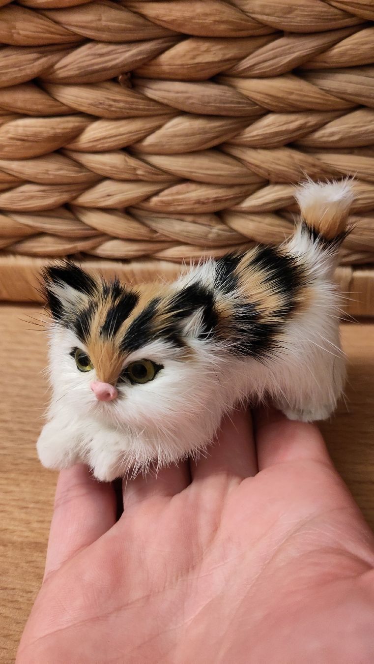 Statuette: Katze Statue sehr weich – Nuovo (secondo la descrizione) da Lostorf venduto da M.Mollet 1