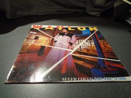 Schallplatte Waylon, Never Could toe the mark