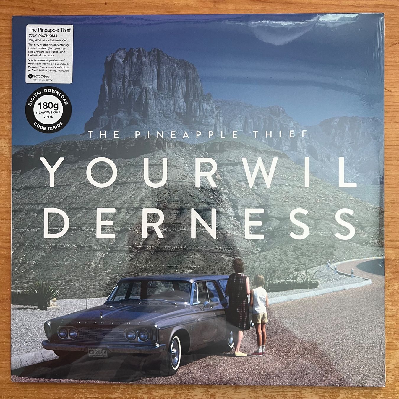 Dischi in vinile: Pineapple Thief - Your Wilderness / 1. EU-Press. 2016 - NEW – Nuovo e nell'imballaggio originale da Gais venduto da soundcave57