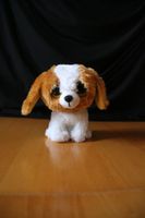 Glubschi Hund von ty