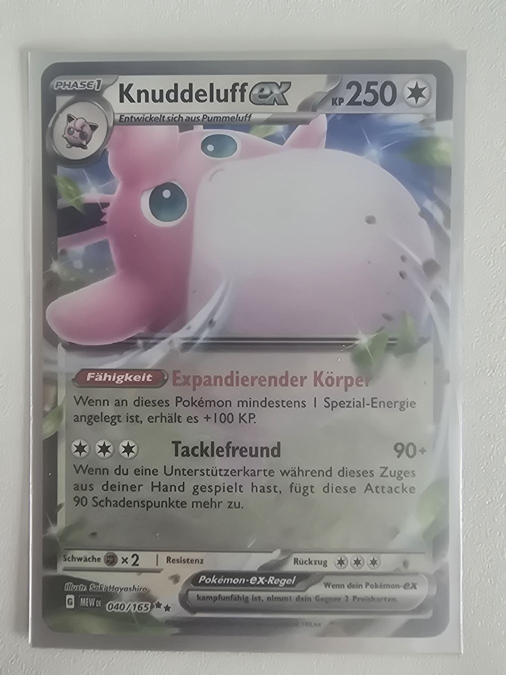 Pokémon Carte collezionabili: Pokemon Knuddeluff ex, DE, 2023 – Nuovo (secondo la descrizione) da Pfäffikon SZ venduto da gmw_8nk9