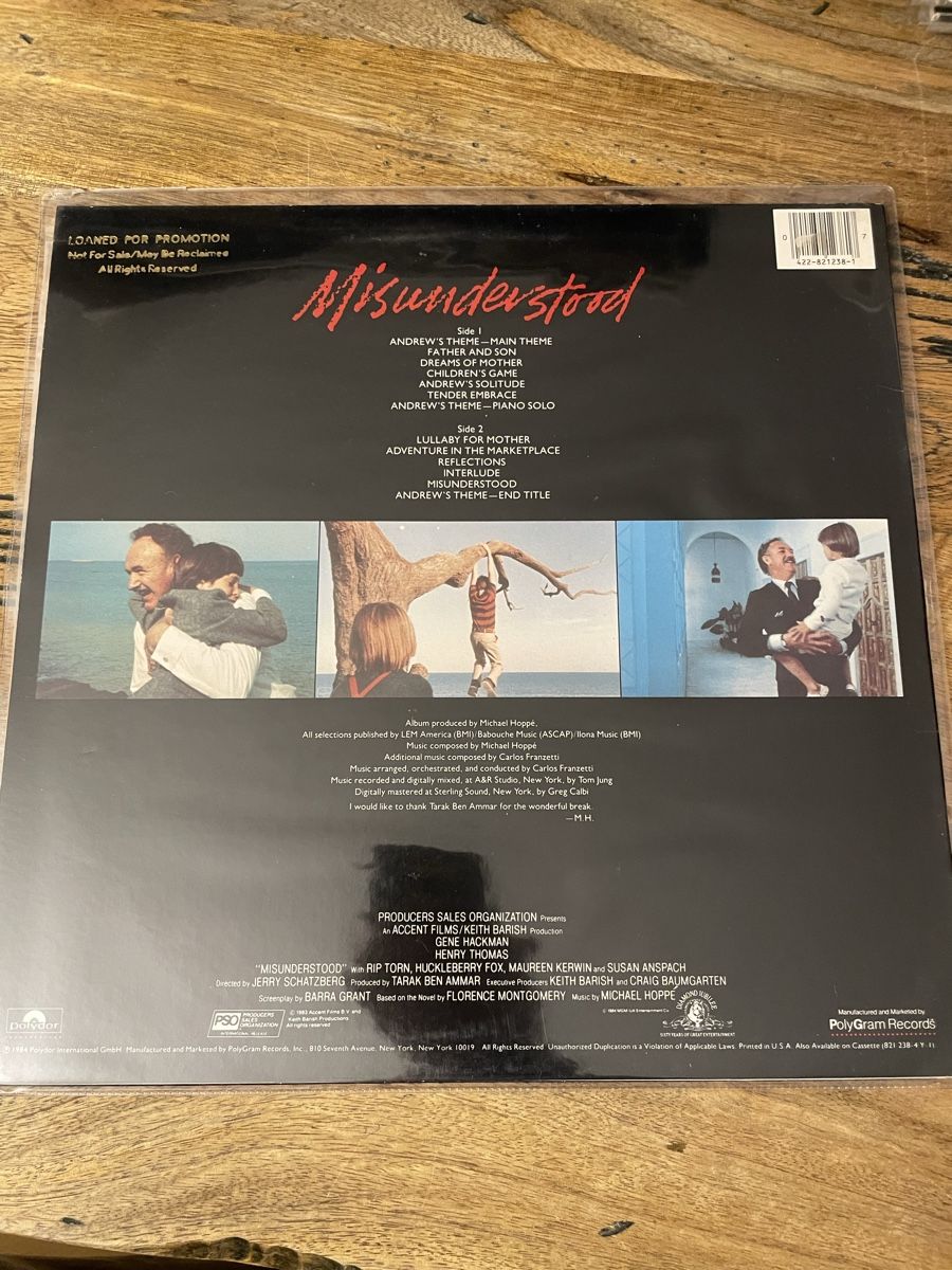 Dischi in vinile: Missunderstood - Michael Hoppe – Usato da Hombrechtikon venduto da baersandro 1