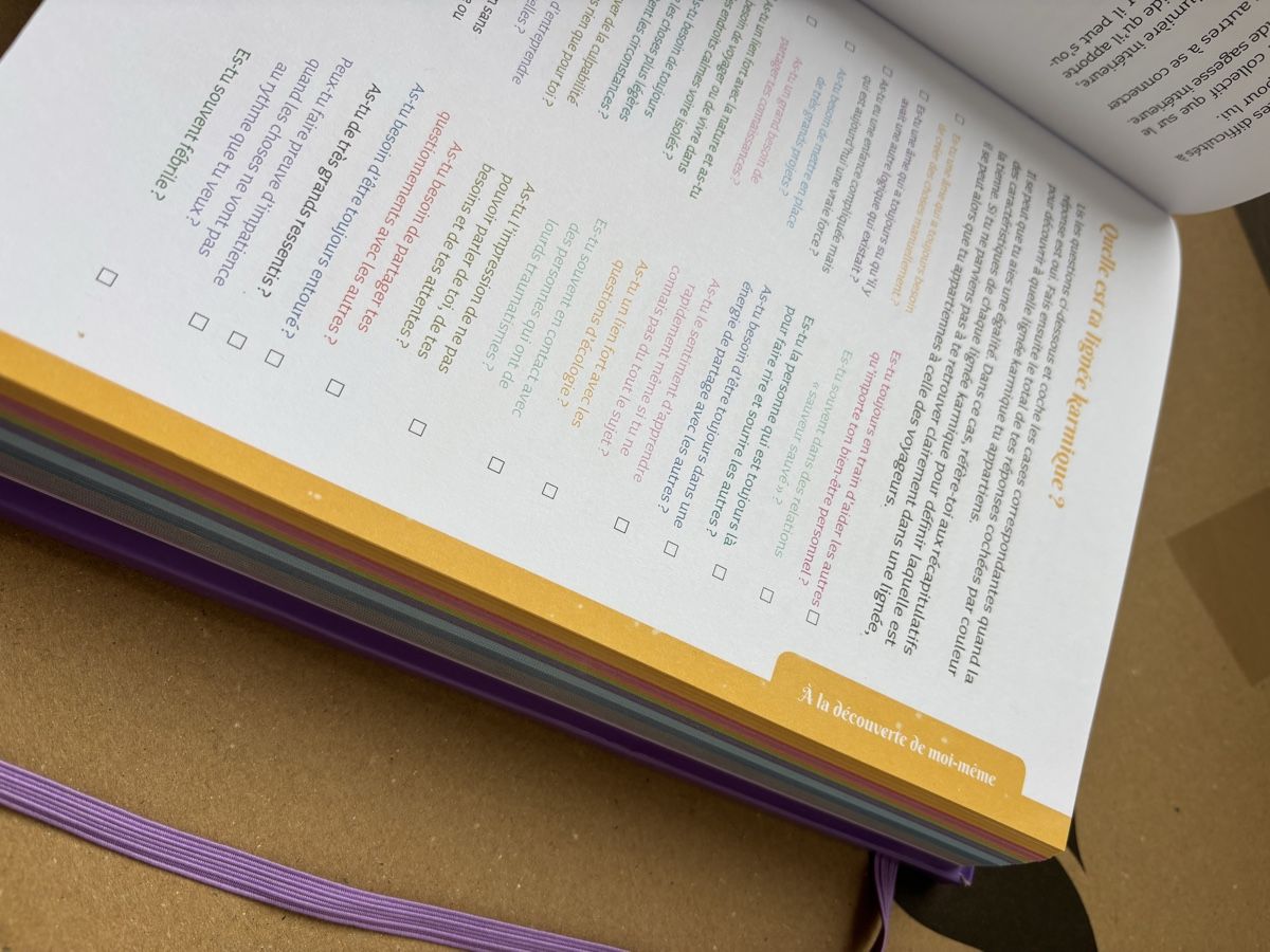 Libri: livre le guide du lightworker de isabelle cerf – Usato da Fribourg venduto da 8mv2 3