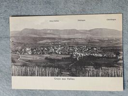Alte PK / Gruss aus Hallau - Gelaufen 1921