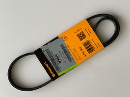Keilrippenriemen CONTITECH 4PK950 950mm, 4 für BMW