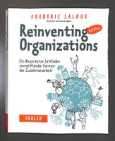 Reinventing visuell Organisations. Illustrierter Leitfaden