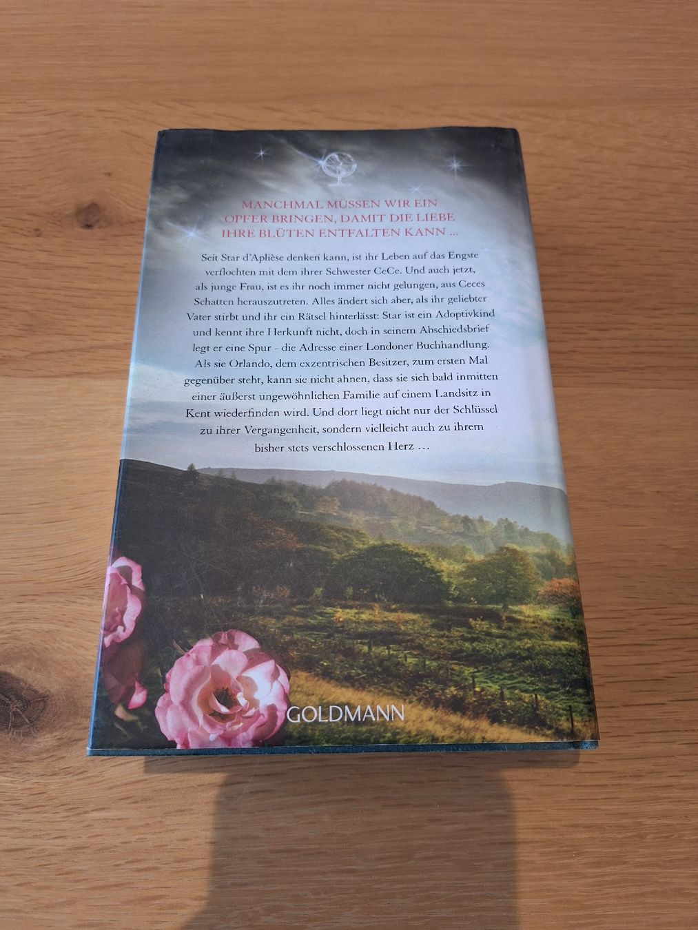 Libri: Buch Lucinda Riley – Usato da Wanzwil venduto da chlinih93 1