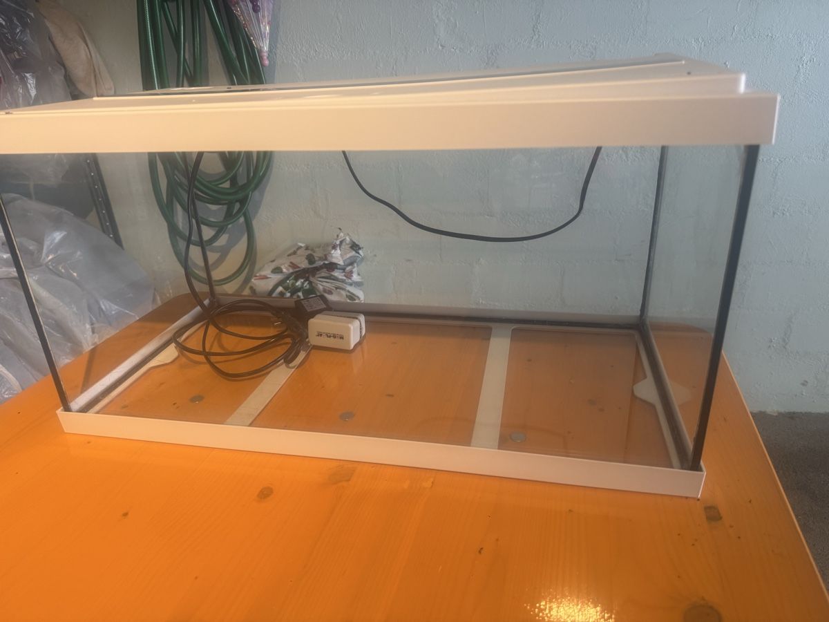 Aquarium: Aquarium – Gebraucht aus Hinteregg von keke019 2