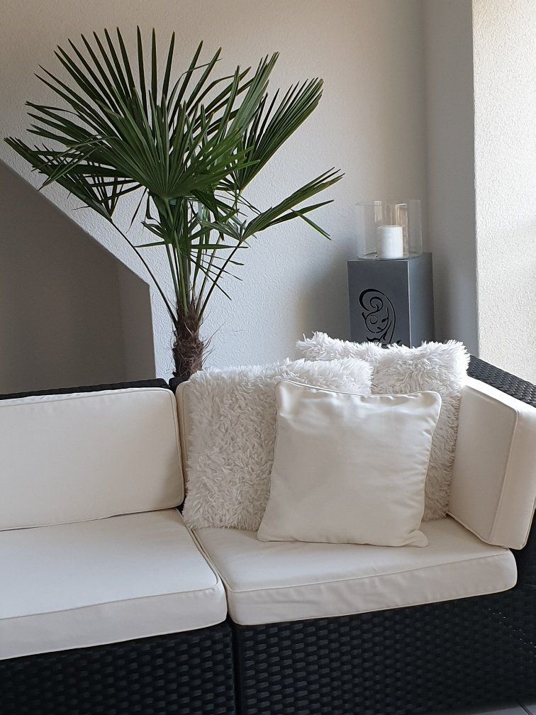 Sofas: Grosse Rattan-Lounge mit ecrufarbigen Polster – Gebraucht aus Felben-Wellhausen von calalu 2