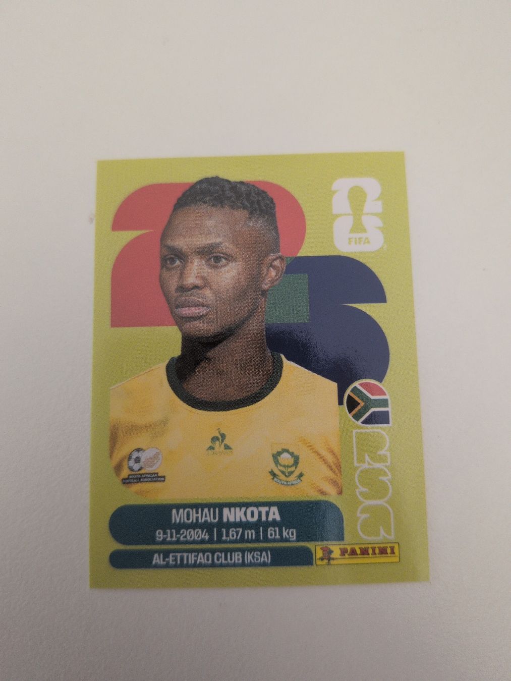 Panini Cartes à collectionner: RSA 19 – D'occasion à Wermatswil par oo8