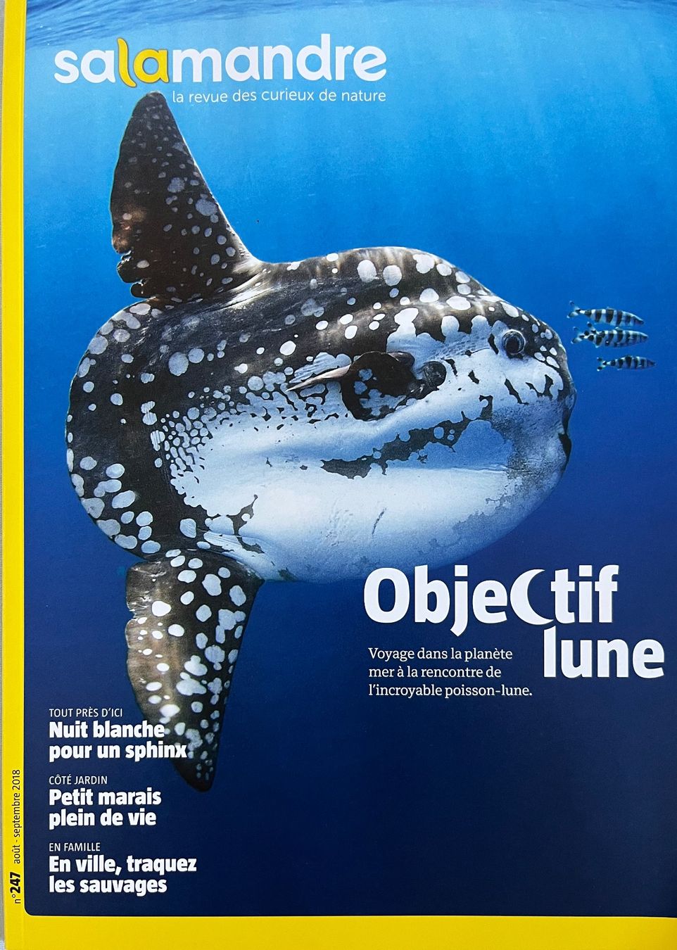 Riviste & Magazine: La Salamandre - 3 numéros – Usato da Le Crêt-p-Semsales venduto da staglione69 1