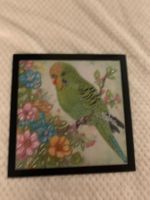 Bild vom Wellensittich nach Diamant Painting