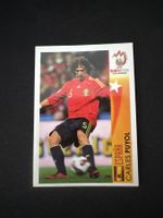 Panini UEFA EM 2008 Sticker - Nr. 476