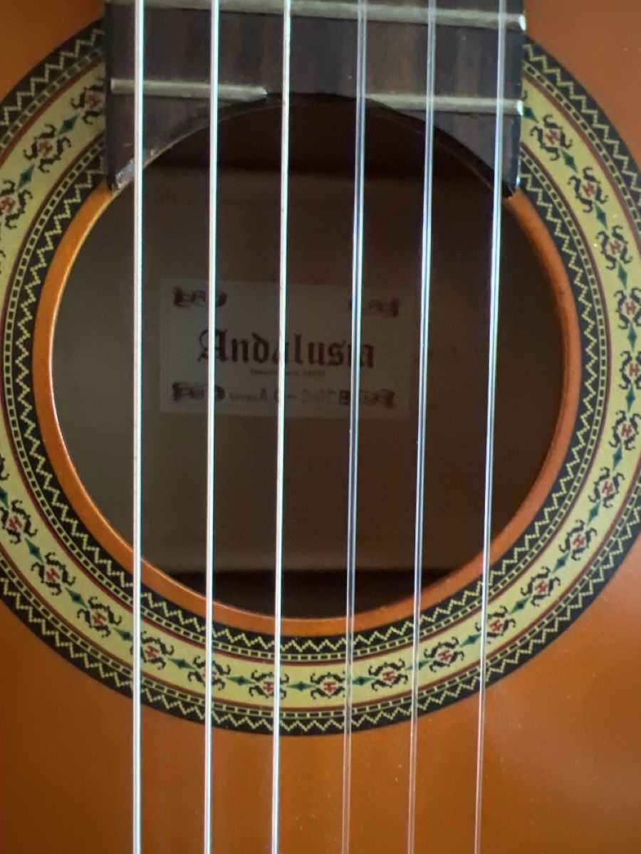 Strumenti musicali: Konzertgitarre elektrisch – Usato da Cham venduto da Jaenu. 1
