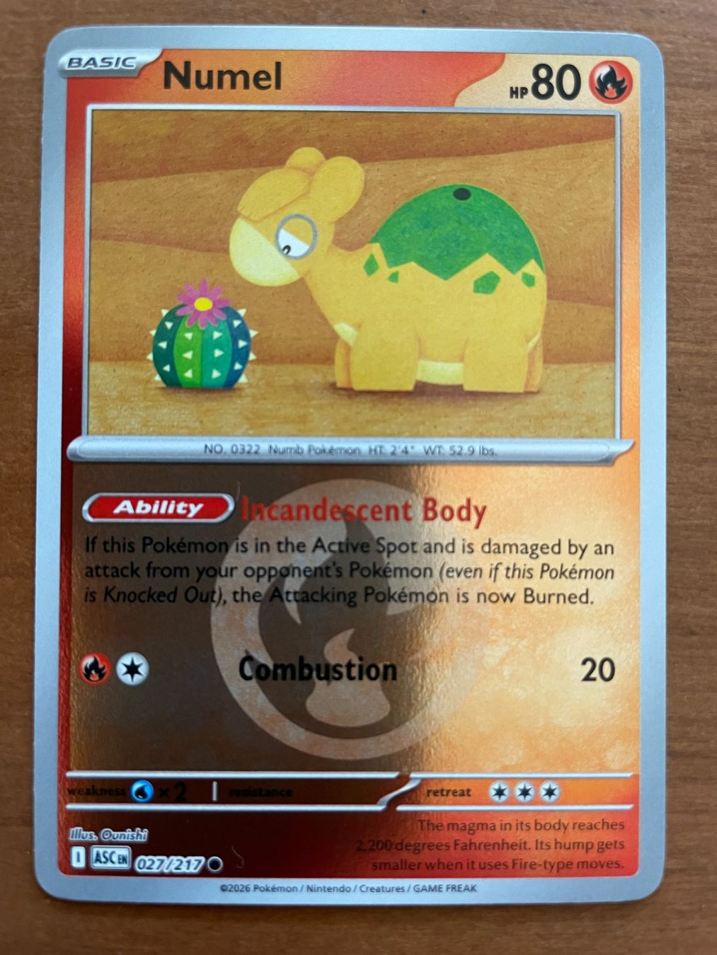 Pokémon Carte collezionabili: Pokemon Numel Reverse (Versand gratis) – Nuovo (secondo la descrizione) da Chur venduto da Angerson