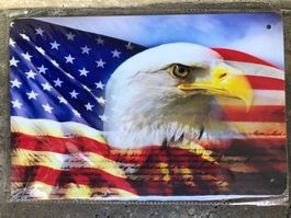 Eagle usa adler flagge