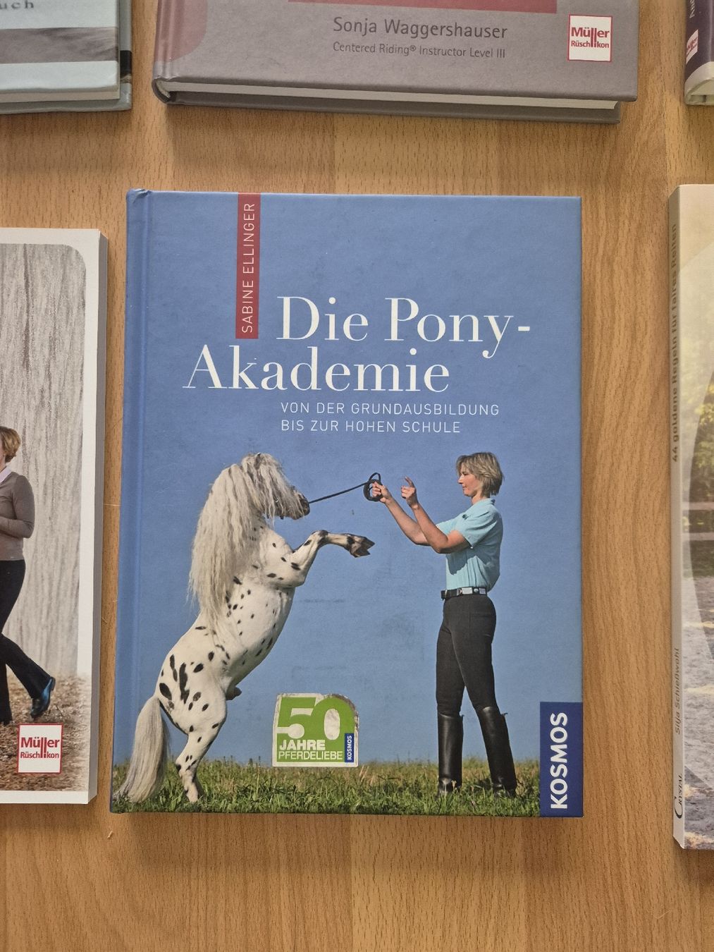 Briglie & Cavezze: Pferdefachbuch "Die Pony Akademie" – Usato da Meggen venduto da Orrinka20